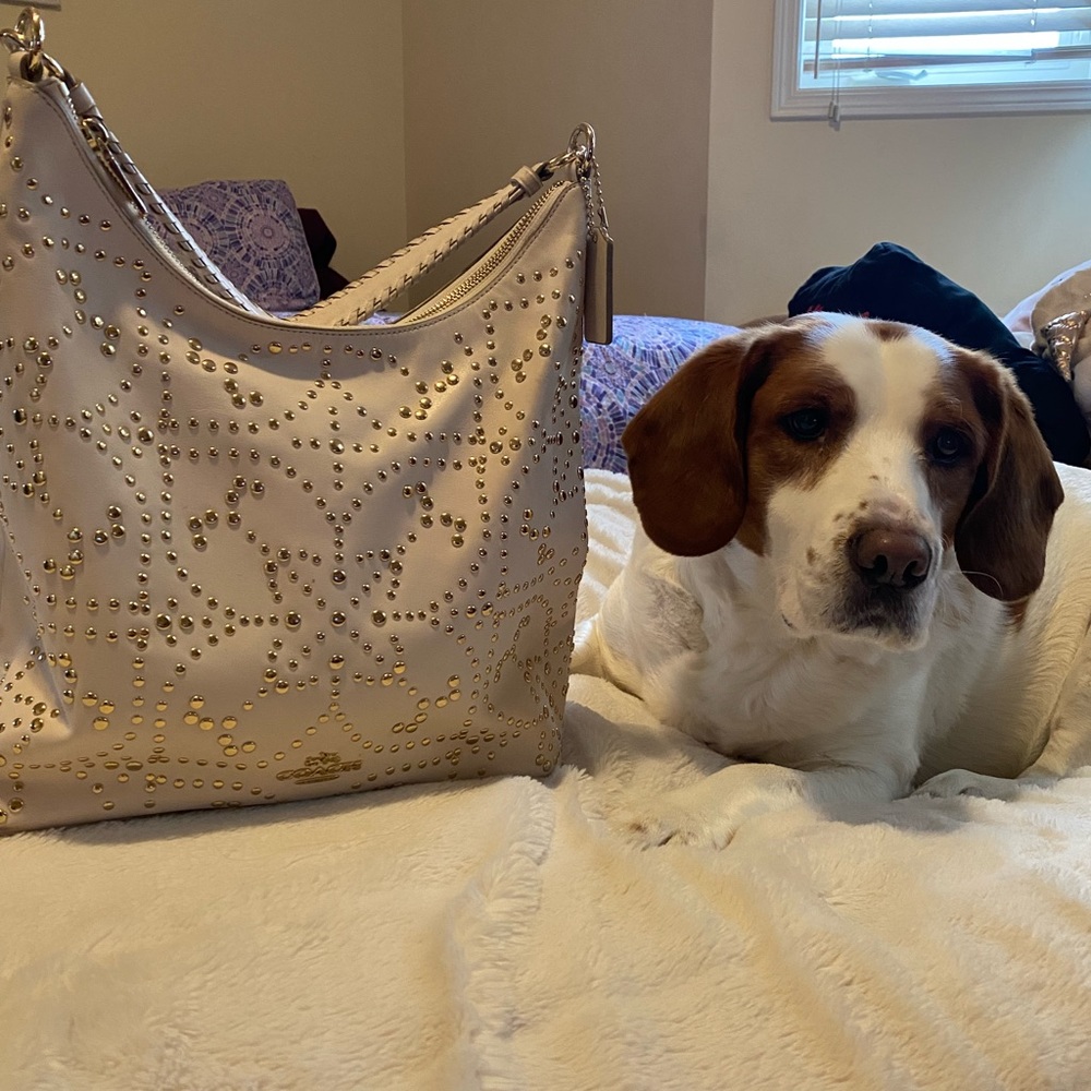 Coach studded bag
